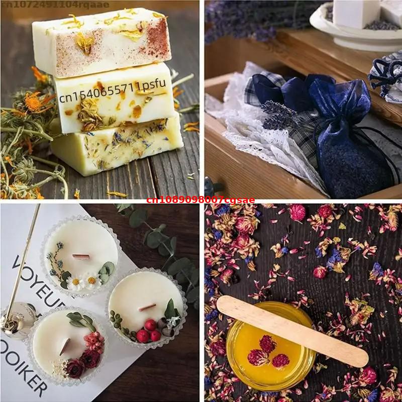 วัสดุดอกไม้แห้งธรรมชาติ ดอกเฟเ - Candle Making And Perfume บทวิจารณ์และราคา