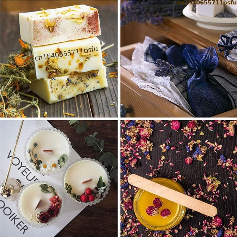 ดอกกุหลาบแห้งคุณภาพสูง 4 ชนิด  - Candle Making And Perfume บทวิจารณ์และราคา